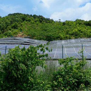 愛知・岐阜・三重エリアでの太陽光パネルのメンテナンス・除草作業を行う真和工業の現場風景