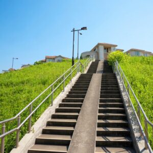 傾斜地や法面の特殊伐採を安全に行う真和工業の作業スタッフの様子（愛知・岐阜・三重対応）