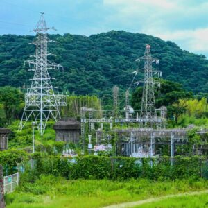 工場や施設の緑地管理・除草・剪定を行う真和工業の法人向けメンテナンス作業風景（愛知・岐阜・三重対応）