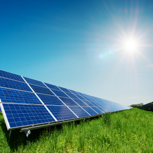 愛知県・三河エリアで太陽光パネルメンテナンス、草刈り、除草、草抜きなら真和工業